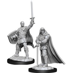 W13: Nolzur's Marvelous Miniatures - Human Paladin Male (90136)