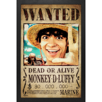 GEL-COAT - One Piece Live Action (Brushed 11inX17in) Picture
