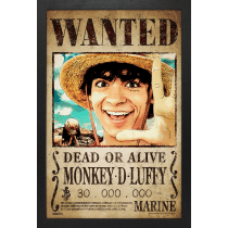 GEL-COAT - One Piece Live Action (Brushed 11inX17in) Picture