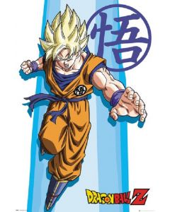 Dragonball Z SS Goku (160718)