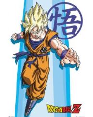 Dragonball Z SS Goku (160718)