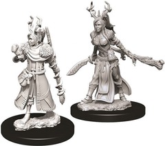 W09: Nolzur's Marvelous Miniatures - Human Druid Female (73701)