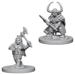 W04: Nolzur's Marvelous Miniatures - Dwarf Barbarian Female (72645)