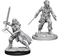 W08: Nolzur's Marvelous Miniatures - Vampire Hunters (73676)