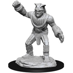 W11: Nolzur's Marvelous Miniatures - Stone Golem (90033)