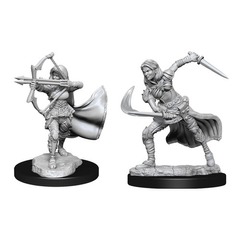 W15: Nolzur's Marvelous Miniatures - Air Genasi Female (90305)