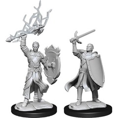 W14: Nolzur's Marvelous Miniatures - Half-Elf Paladin Male (90230)