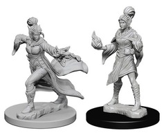 W01: Pathfinder Battles Deep Cuts - Elf Sorcerer Female (72606)