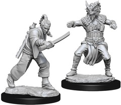 W08: Nolzur's Marvelous Miniatures - Human Monk Male (73670)