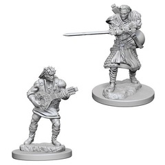 W04: Nolzur's Marvelous Miniatures - Human Bard Male (72632)