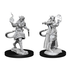 W15: Nolzur's Marvelous Miniatures - Tiefling Sorcerer Female (90304)