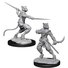 W07: Nolzur's Marvelous Miniatures - Tabaxi Rogue Male (73540)