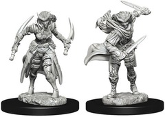 W07: Nolzur's Marvelous Miniatures - Tiefling Rogue Female (73339)