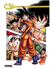 Dragon Ball Goku Story (160954)