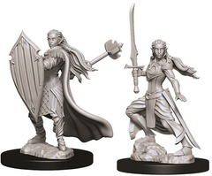 W09: Nolzur's Marvelous Miniatures - Elf Paladin Female (73706)
