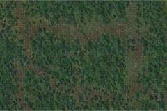 DUNGEONS & DRAGONS - Icons of the Realms 3'x5' Forest Battle Mat