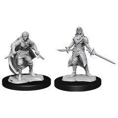 W14: Nolzur's Marvelous Miniatures - Half-Elf Rogue Female (90228)