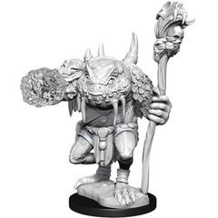 W12.5: Nolzur's Marvelous Miniatures - Green Slaad (90213)