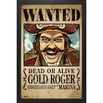 GEL-COAT - One Piece Gold Roger (Brushed 11inX17in) Picture