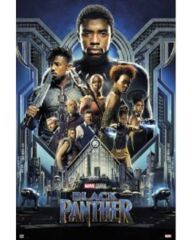 Black Panther - Movie Poster (160655)