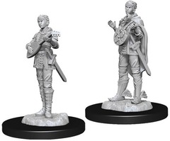 W07: Nolzur's Marvelous Miniatures - Half-Elf Bard Female (73538)