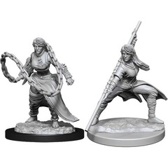 W14: Nolzur's Marvelous Miniatures - Human Monk Female (90225)