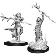 W14: Nolzur's Marvelous Miniatures - Human Druid Female (90223)