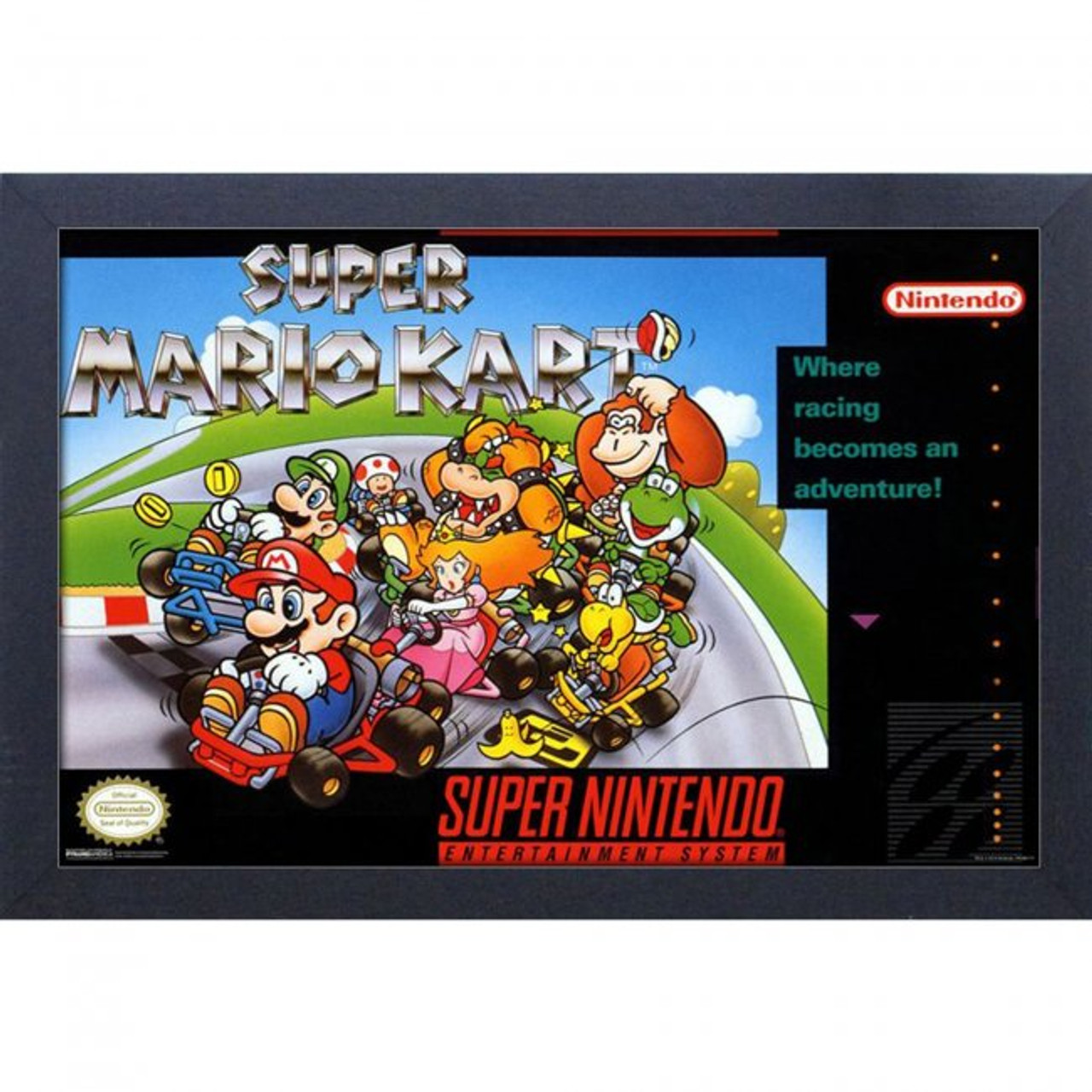 GEL-COAT - Super Mario Kart Cover (Brushed 11inX17in) Picture