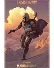 Star Wars The Mandalorian On the Run (160059)