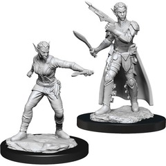 W13: Nolzur's Marvelous Miniatures - Shifter Rogue Female (90148)