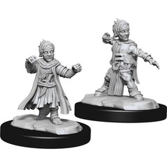 W15: Pathfinder Battles Deep Cuts - Halfling Monk Male (90328)