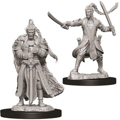 W09: Nolzur's Marvelous Miniatures - Elf Paladin Male (73707)