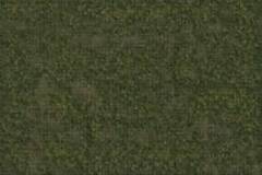 DUNGEONS & DRAGONS - Icons of the Realms 3'x5' Grassland Battle Mat
