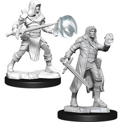 W13: Nolzur's Marvelous Miniatures - Multiclass Fighter & Wizard Male (90150)