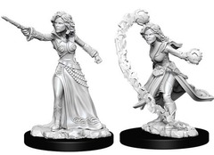 W06: Pathfinder Battles Deep Cuts - Human Wizard Female (73412)