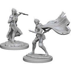 W04: Pathfinder Battles Deep Cuts - Elf Rogue Female (73187)