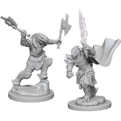 W04: Nolzur's Marvelous Miniatures - Dragonborn Fighter Female (73199)