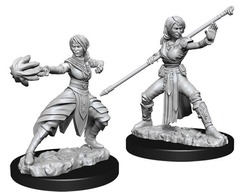 W10: Nolzur's Marvelous Miniatures - Half-Elf Monk Female (73839)