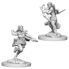 W04: Nolzur's Marvelous Miniatures - Air Genasi Rogue Female (73204)