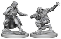 W01: Pathfinder Battles Deep Cuts - Human Rogue Male (72602)