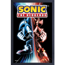 GEL-COAT - Sonic Game Over (Brushed 11inX17in) Picture