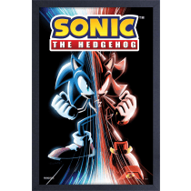 GEL-COAT - Sonic Game Over (Brushed 11inX17in) Picture