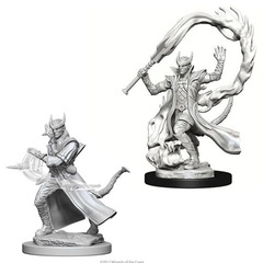 W04: Nolzur's Marvelous Miniatures - Tiefling Sorcerer Male (73201)