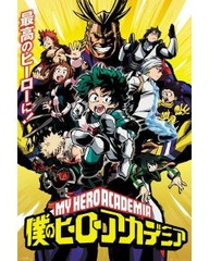 My Hero Academia (160676)