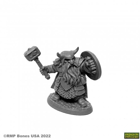 Borin Ironbrow Dwarf