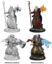 Human Male Wizard (W1)