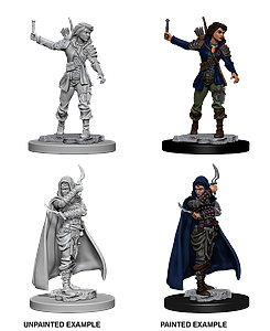 Human Female Rogue (W1)
