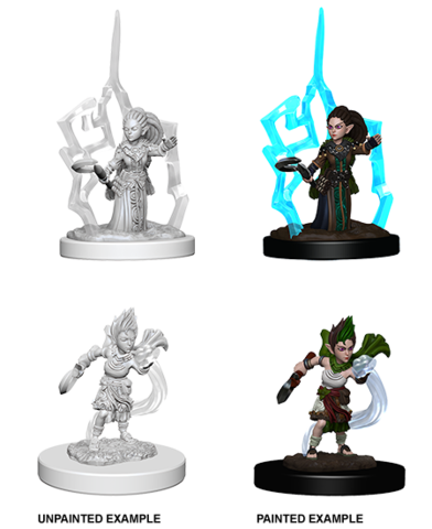 Gnome Female Druid