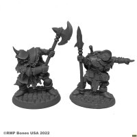 Orcs of the Ragged Wound Leaders (2)