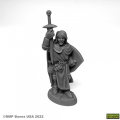 Sir Danarel the holy